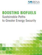 Boosting biofuels: sustainable paths to greater energy security